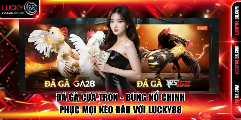 Đá gà cựa tròn